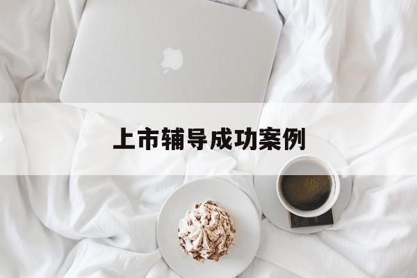 上市辅导成功案例(上市辅导成功后肯定会上市吗)安康市